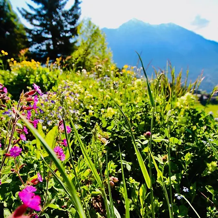 Raschainas Lenzerheide * Sporz