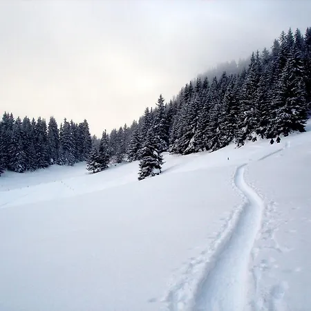 Raschainas Lenzerheide Bed & Breakfast *