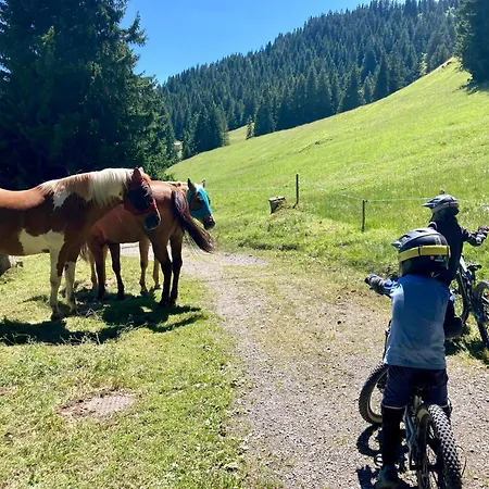 Raschainas Lenzerheide Sporz