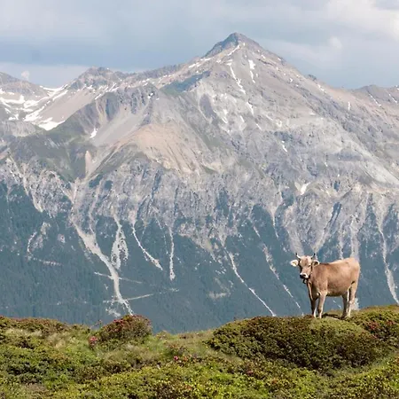 Raschainas Lenzerheide *